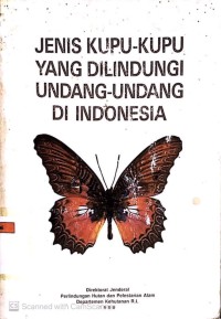 Jenis Kupu-Kupu Yang Dilindungi Undang-Undang di Indonesia