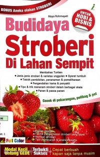 Budidaya Storiberi di Lahan Sempit