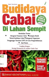 Budidaya Cabai di Lahan Sempit