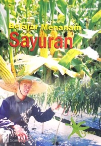 Belajar Menanam Sayuran