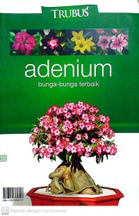 Adenium : Bunga-Bunga Terbaik
