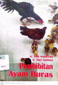 Pembibitan Ayam Buras