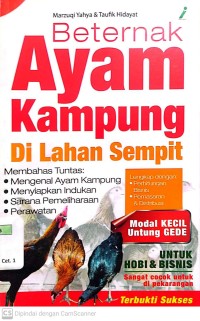 Beternak Ayam Kampung di Lahan Sempit