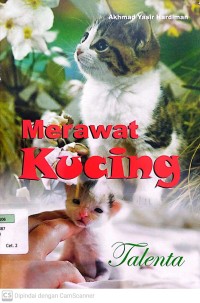 Merawat Kucing